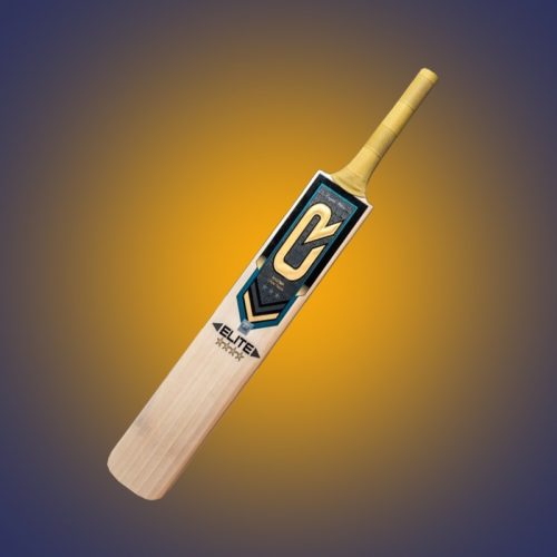 WhatsApp Image 2024-01-08 at 11.21.30 AM